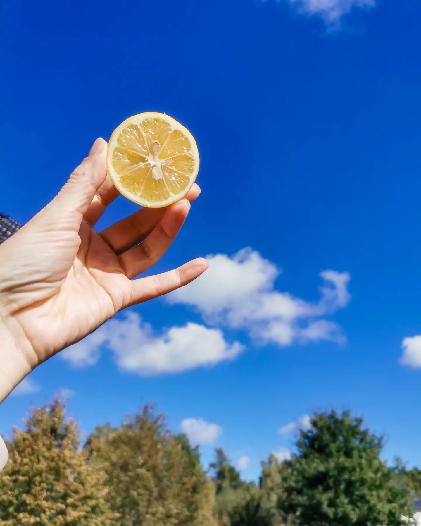 Jeśli czegoś ci brakuje, spróbuj zastąpić to tym, co już masz. 🤪☀️🍋

#optymistycznie
#wyzwanie_kfs_2023_3
#kobiecafotoszkola #dziewczyny_kfs